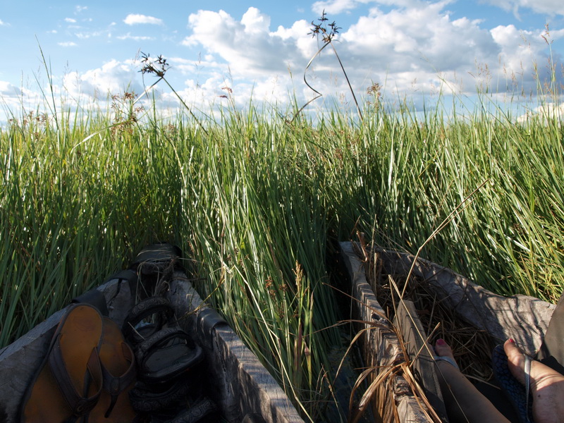 Mokoro safari in the Okavango Delta