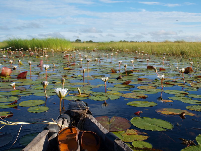 Mokoro safari in the Okavango Delta