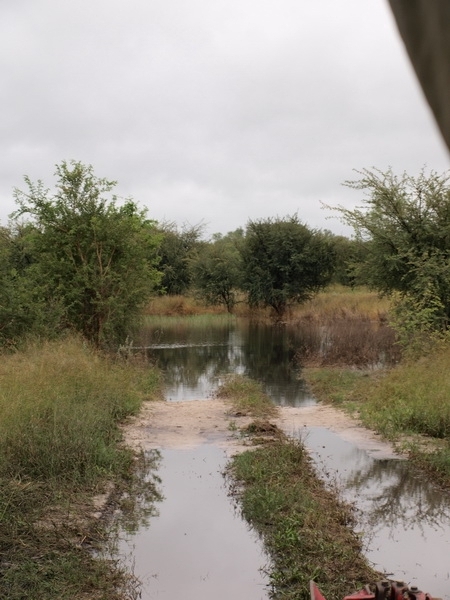 The road on the way out of the Okavango Delta