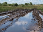 The road on the way in to the Okavango Delta