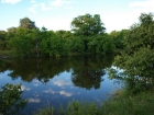 Savuti Channel