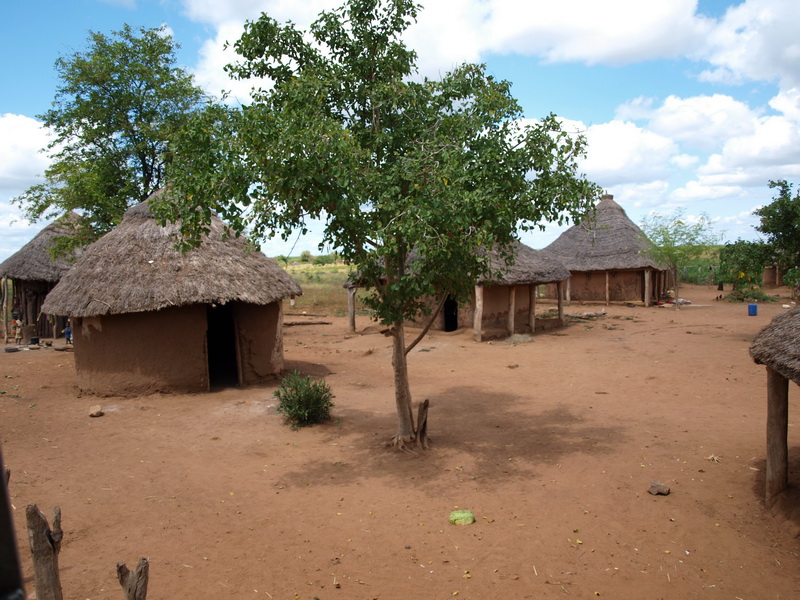 Limpopo Transfrontier Park