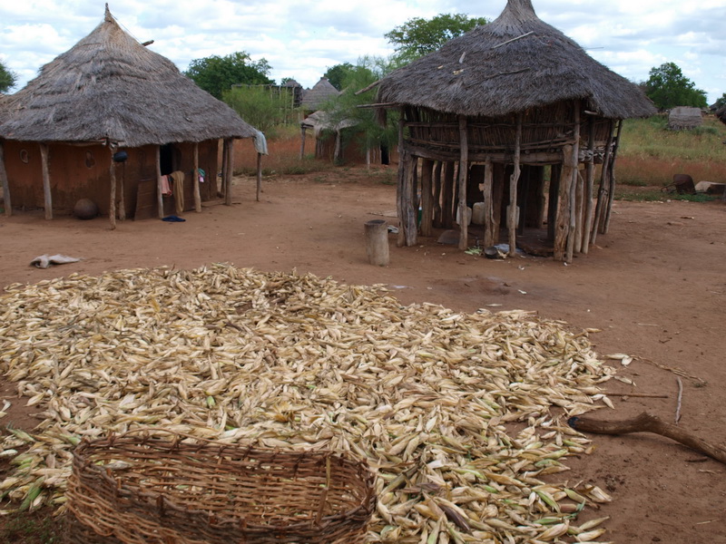 Limpopo Transfrontier Park