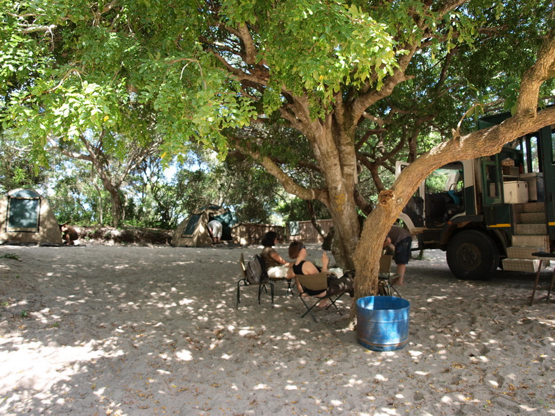 Palmerias camp, Lake Beline