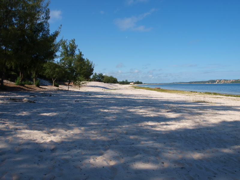 Palmerias camp, Lake Beline