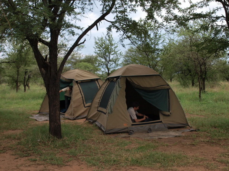 Serona Camp, Serengeti
