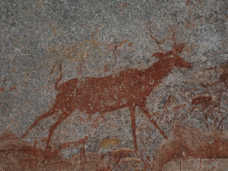 Bushmen paintings, Nswatugi Cave, Matobo Hills