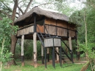 Ivory Lodge, Hwange