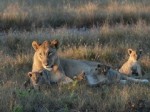 Etosha - Day 3