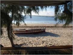 View from our tent, Casuarina Camp, Ilha da Mocambique