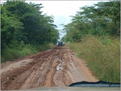 The road to Pangane