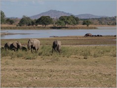 Vwarza Marsh Wildlife Reserve