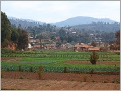 Usambara Mountains