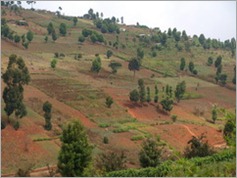 Usambara Mountains