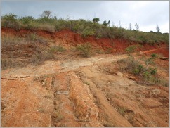 Usambara Mountains