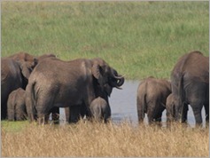 Tarangire National Park