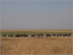 Tarangire National Park