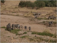 Tarangire National Park