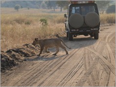 Tarangire National Park