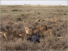 Serengeti National Park