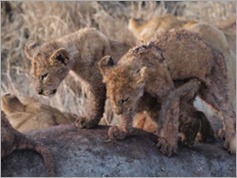 Serengeti National Park