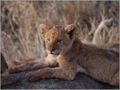 Serengeti National Park