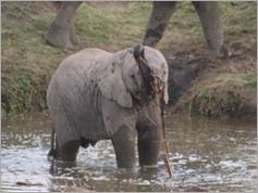 Serengeti National Park