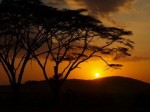 Serengeti National Park