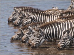 Serengeti National Park