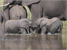 Serengeti National Park