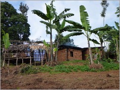 Irente, Usambara Mountains