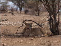 Samburu National Park