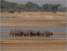 View from Croc Valley Camp, South Luangwa National Park