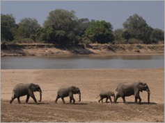 View from Croc Valley Camp, South Luangwa National Park