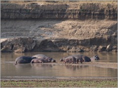 View from Croc Valley Camp, South Luangwa National Park