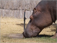 Mukambi Lodge, Kafue National Park